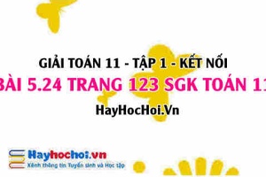 Giải bài 5.24 trang 123 Toán 11 tập 1 SGK Kết nối tri thức